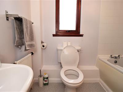 Picture 7